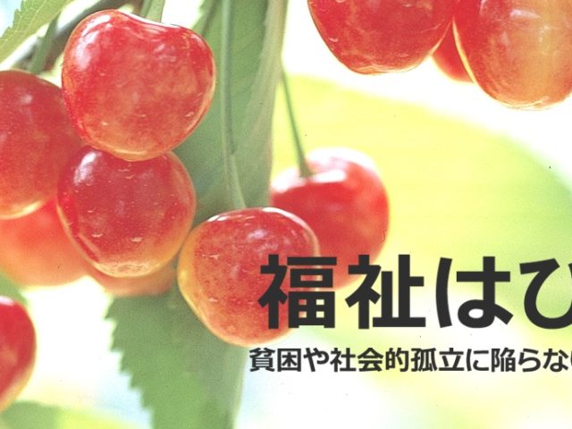 初夏　サクランボ